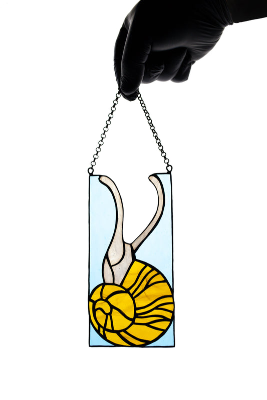 Snail suncatcher Stained glass window hanging Stain glass decor Glass animals Mother's day gift